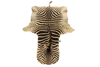 Lot 502 - A LARGE ZEBRA (EQUUS QUAGGA) FLAT SKIN RUG