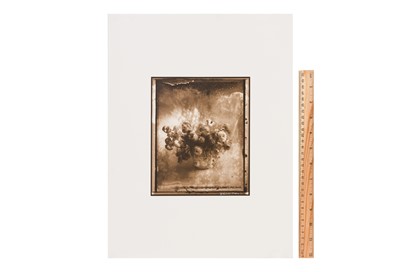 Lot 290 - Sarah Moon (b.1941)