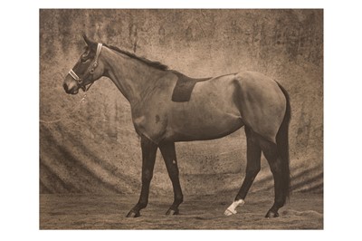Lot 146 - Terence J. Donovan (XX)