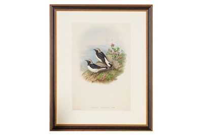 Lot 120 - Gould (John) A collection of 27 hand-coloured lithographs from ‘The Birds of Europe’ (1837) and ‘The Birds of Asia’ (1850 - 1883)