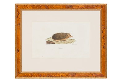 Lot 115 - Geoffroy Saint-Hilaire  & Cuvier ‘Histoire Naturelle des Mammifères...' 10 lhand-coloured ithographs