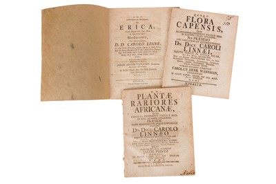 Lot 123 - Linnaeus.