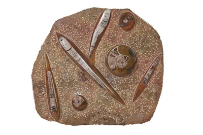 Lot 409 - A MARINE FOSSIL SECTION OF POLISHED AMMONITES AND ORTHOCERAS