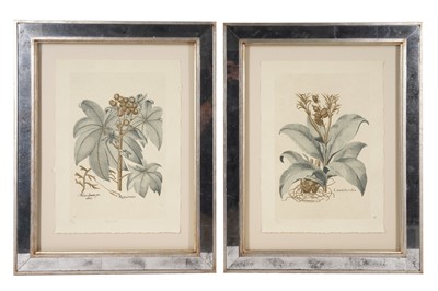Lot 172 - A PAIR OF TROWBRIDGE LIMITED EDITION BOTANICAL PRINTS