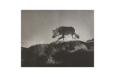 Lot 13 - Leni Riefenstahl (1902-2003)
