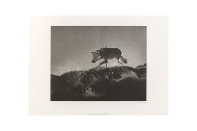 Lot 13 - Leni Riefenstahl (1902-2003)