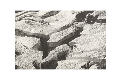 Lot 13 - Leni Riefenstahl (1902-2003)