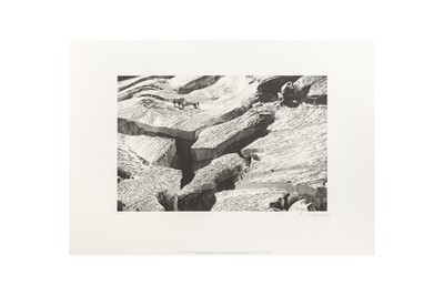 Lot 13 - Leni Riefenstahl (1902-2003)
