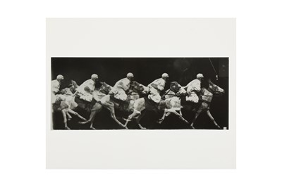 Lot 11 - After Etienne Jules-Marey (1830-1904)