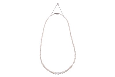 Lot 1 - A SINGLE-STRAND NATURAL PEARL NECKLACE