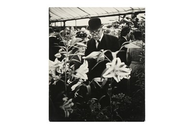 Lot 316 - David Moore (1927-2003)
