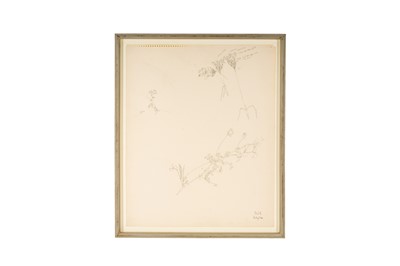 Lot 318 - ELIOT HODGKIN (BRITISH, 1905-1987), PLANT STUDY