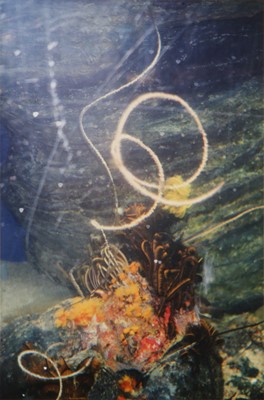 Lot 387 - Stephen Gill (b.1971)