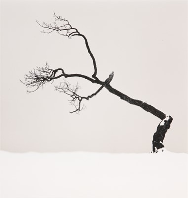 Lot 186 - Michael Kenna (b.1953)