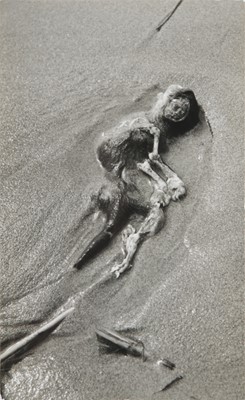 Lot 193 - Lucien Clergue (1934-2014)