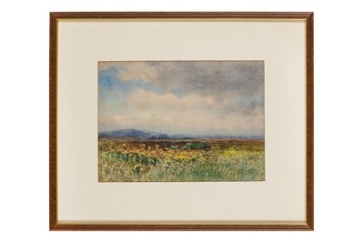 Lot 9 - PERCY FRENCH (IRISH, 1854-1920)