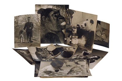 Lot 79 - Wolfgang Suschitzky (1912-2016)