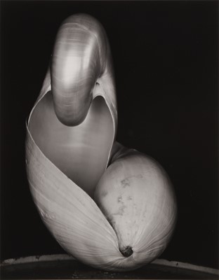Lot 190 - Edward Weston (1886-1958)