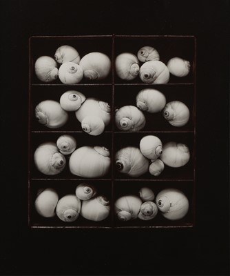 Lot 192 - Olivia Parker (b.1941)