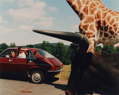 Lot 149 - Martin Parr (b.1952)