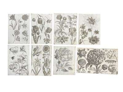 Lot 81 - WENCESLAUS HOLLAR (BOHEMIAN 1607–1677), FALCK & DE WIT