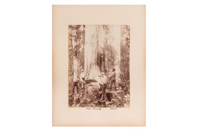 Lot 50 - Burton Brothers (active 1866-1914)