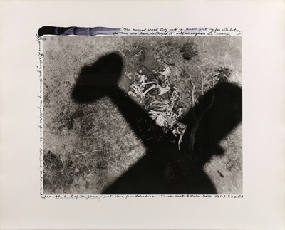 Lot 337 - Peter Beard (1938-2020)