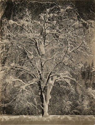 Lot 181 - Ansel Adams (1902-1984)