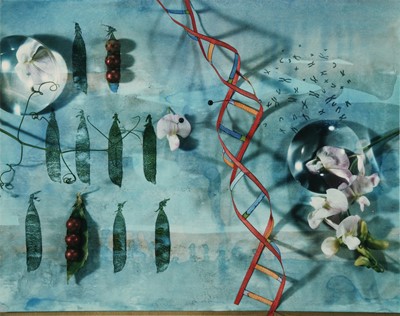 Lot 330 - Olivia Parker (b.1941)