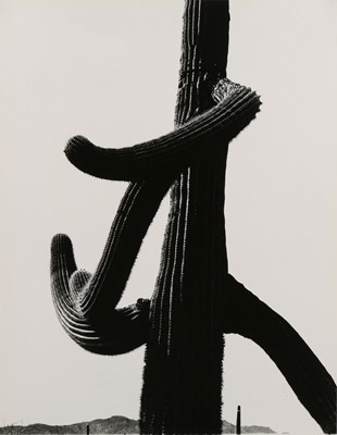 Lot 184 - Aaron Siskind (1903-1991)