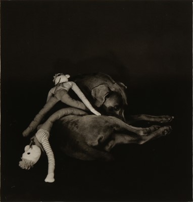 Lot 280 - William Wegman (b.1943)