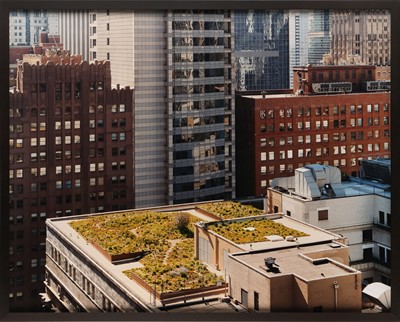 Lot 245 - Joel Sternfeld (b.1944)