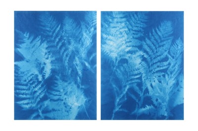 Lot 362 - Tom Fels (b.1946)