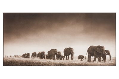 Lot 335 - Nick Brandt (b.1964)