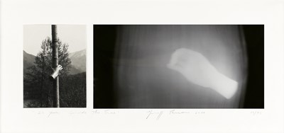 Lot 243 - Giuseppe Penone (Italian b.1947)