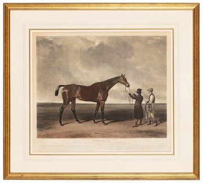Lot 181 - Horse portrait: Lupton (Thomas Goff) & Cooper (Abraham) after, Fleur-de-Lis, 1828
