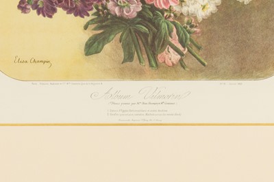 Lot 193 - Elisa Champin (after)Five lithographs from the Album Vilmorin