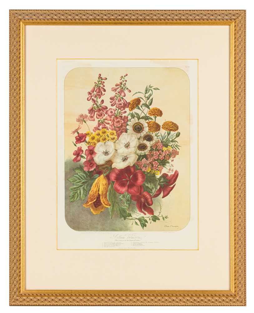 Lot 193 - Elisa Champin (after)Five lithographs from the Album Vilmorin