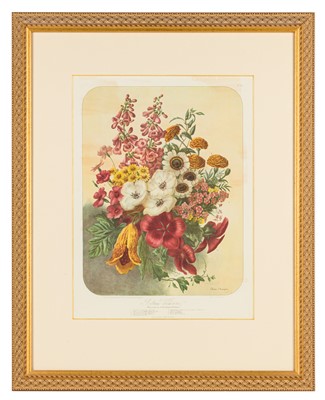 Lot 223 - Elisa Champin (after)Five lithographs from the Album Vilmorin