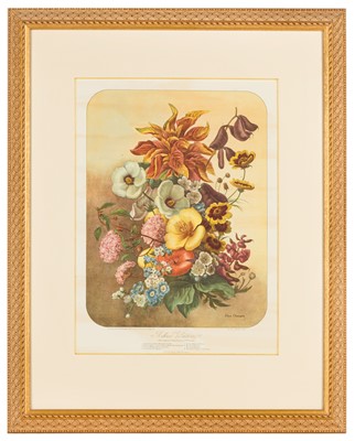 Lot 193 - Elisa Champin (after)Five lithographs from the Album Vilmorin