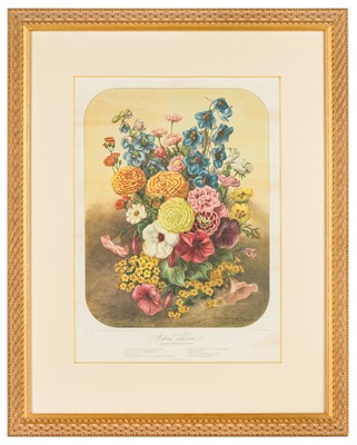 Lot 193 - Elisa Champin (after)Five lithographs from the Album Vilmorin