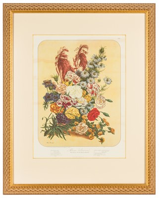 Lot 193 - Elisa Champin (after)Five lithographs from the Album Vilmorin