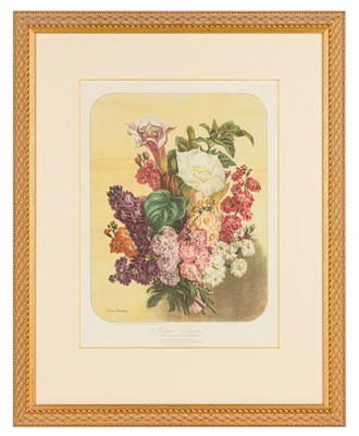 Lot 193 - Elisa Champin (after)Five lithographs from the Album Vilmorin