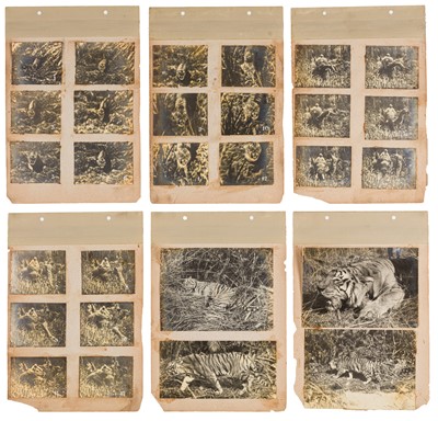 Lot 126 - Samuel Bourne (1834-1912), John Burke (1843-1900), Theodor Paar, and others, c.1880s