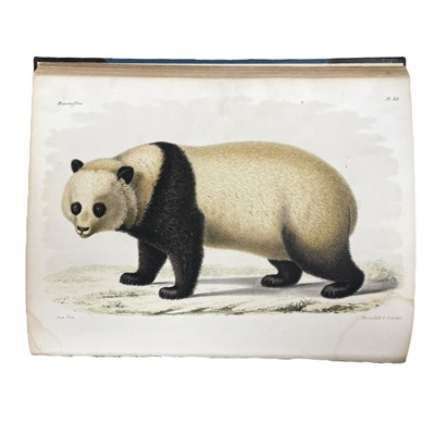 Lot 111 - Milne-Edwards, (Henri & Alphonse) Recherches pour servir à l'histoire naturelle des mammifères comprenant...1868