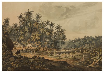 Lot 42 - Salt (Henry).- Sri Lanka
