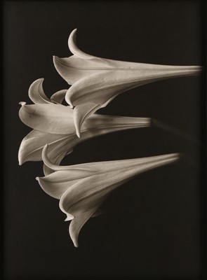 Lot 285 - Bruce Rae (b. 1946)