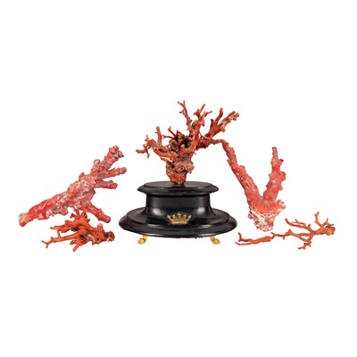 Lot 165 - A group of Mediterranean red coral specimens, late 19th / early 20th century