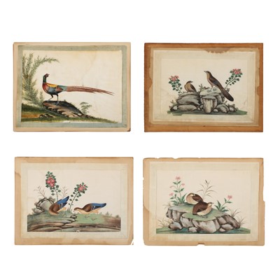 Lot 228 - Four Chinese 'birds and flowers' pith painting, Chinese School, 19th century