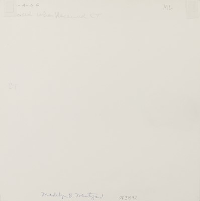 Lot 55 - Ralph Eugene Meatyard (1925-1972)